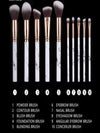 Unisex Makeup Brushes for Occasion - Panther®